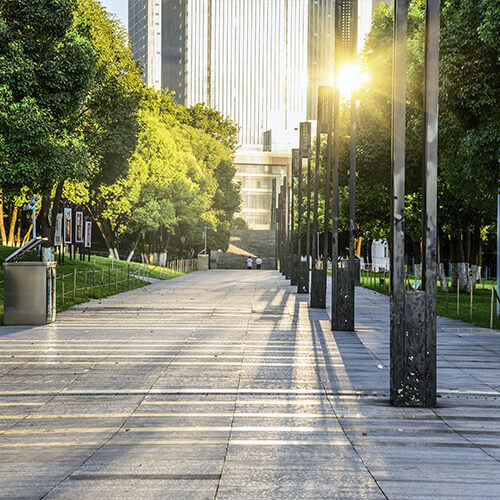 Projeto e execução de paisagismo